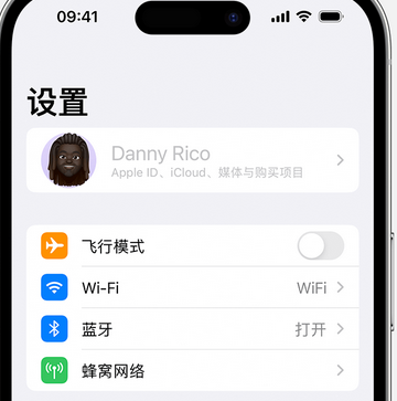 和舍镇appleID维修服务iPhone设置中Apple ID显示为灰色无法使用