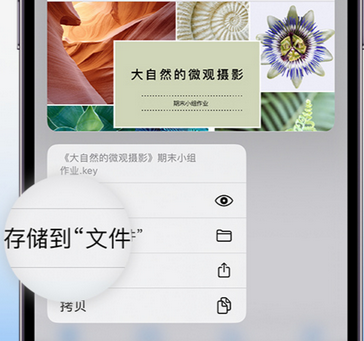 和舍镇apple维修中心分享iPhone文件应用中存储和找到下载文件