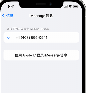 和舍镇apple维修iPhone上无法正常发送iMessage信息 