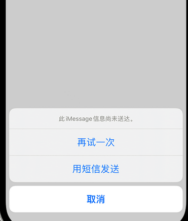 和舍镇apple维修iPhone上无法正常发送iMessage信息