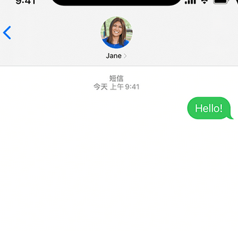 和舍镇apple维修iPhone上无法正常发送iMessage信息