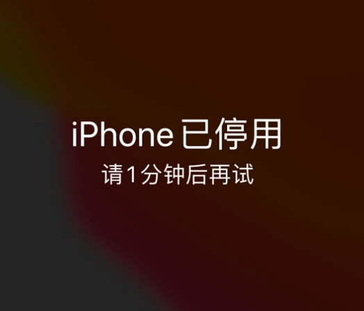 和舍镇苹果手机维修分享:iPhone 显示“不可用”或“已停用”怎么办？还能保留数据吗？ 