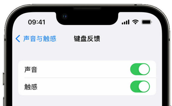 和舍镇苹果手机维修分享iPhone 14触感键盘使用方法 