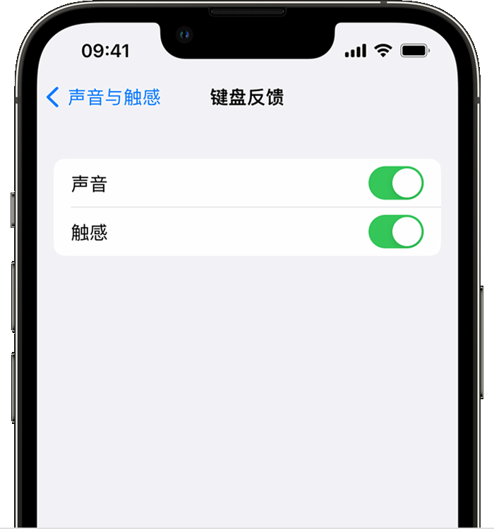 和舍镇苹果14维修店分享如何在 iPhone 14 机型中使用触感键盘 