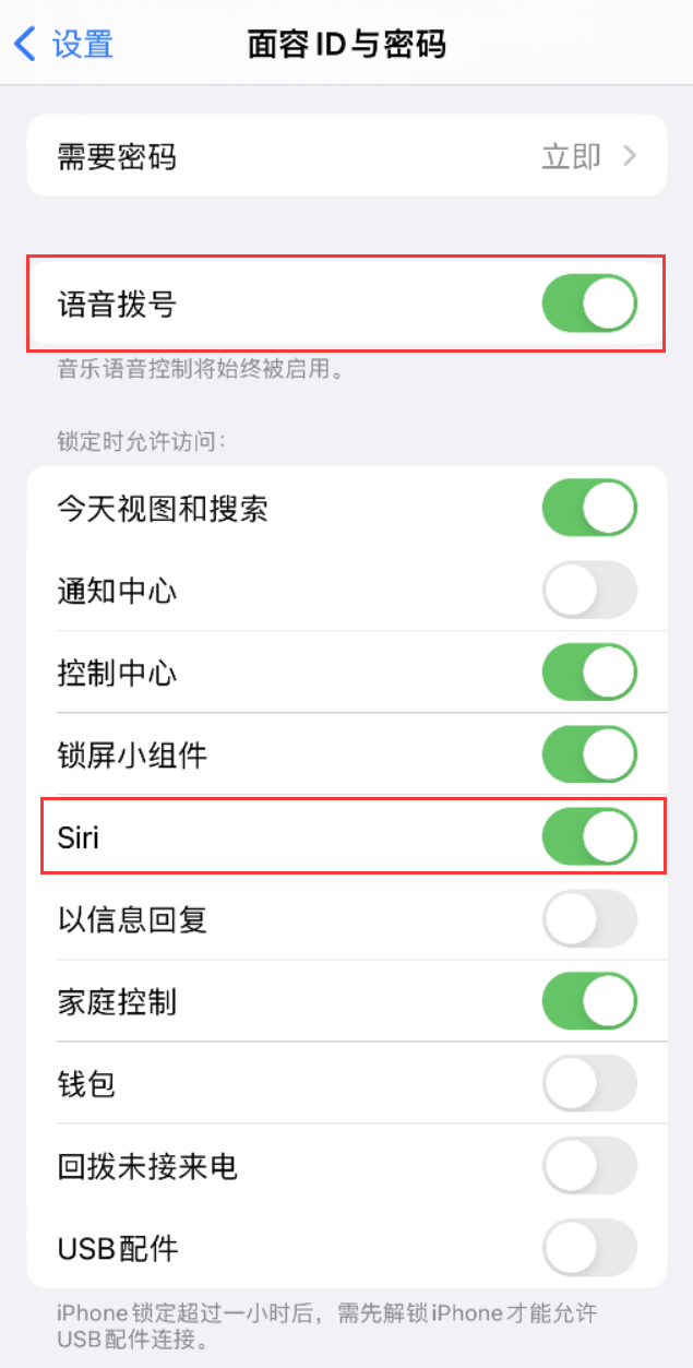 和舍镇苹果维修网点分享不解锁 iPhone 的情况下通过 Siri 拨打电话的方法 