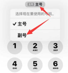 和舍镇苹果14维修店分享iPhone 14 Pro Max使用副卡打电话的方法 