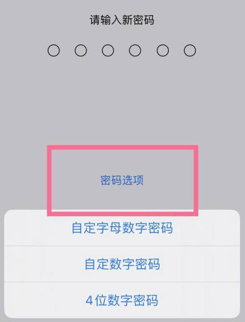 和舍镇苹果14维修分享iPhone 14plus设置密码的方法 