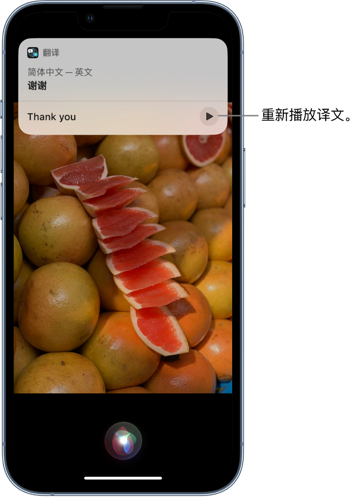 和舍镇苹果14维修分享 iPhone 14 机型中使用 Siri：了解 Siri 能帮你做什么 