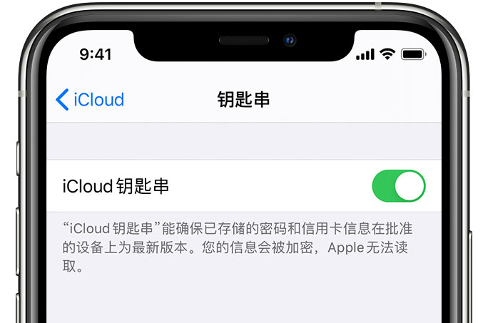 和舍镇苹果手机维修分享在 iPhone 上开启 iCloud 钥匙串之后会储存哪些信息 